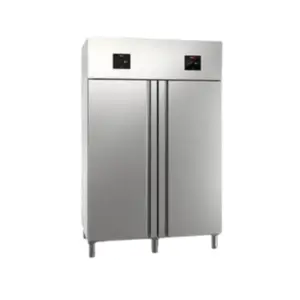 Congelador Profesional-fricaten